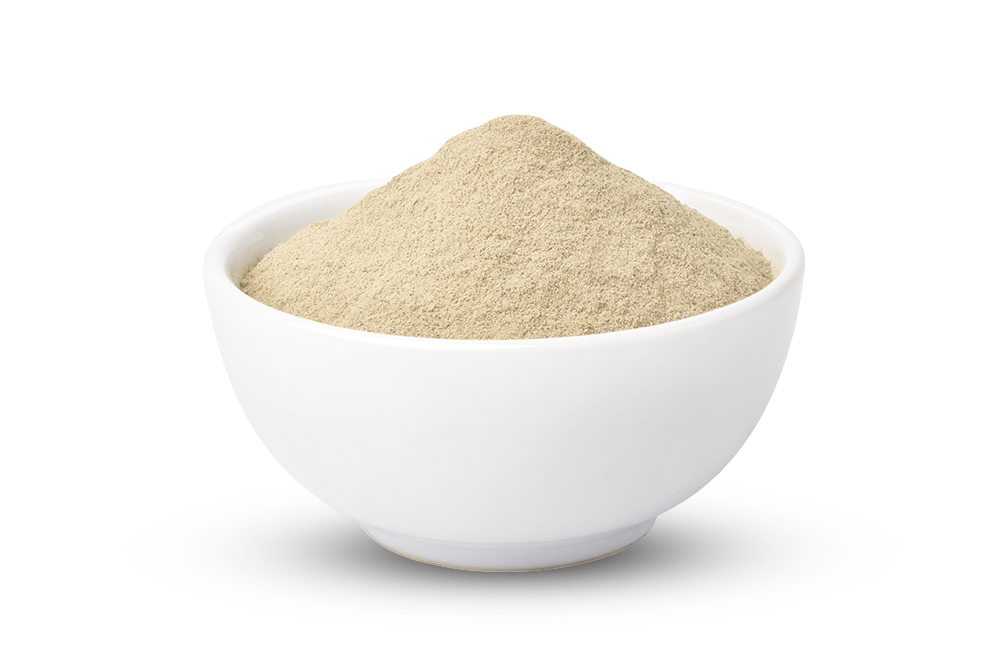 Rice Protein